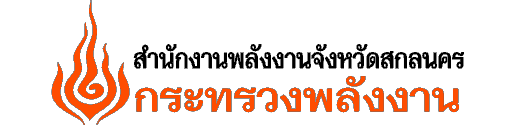 Website Logo